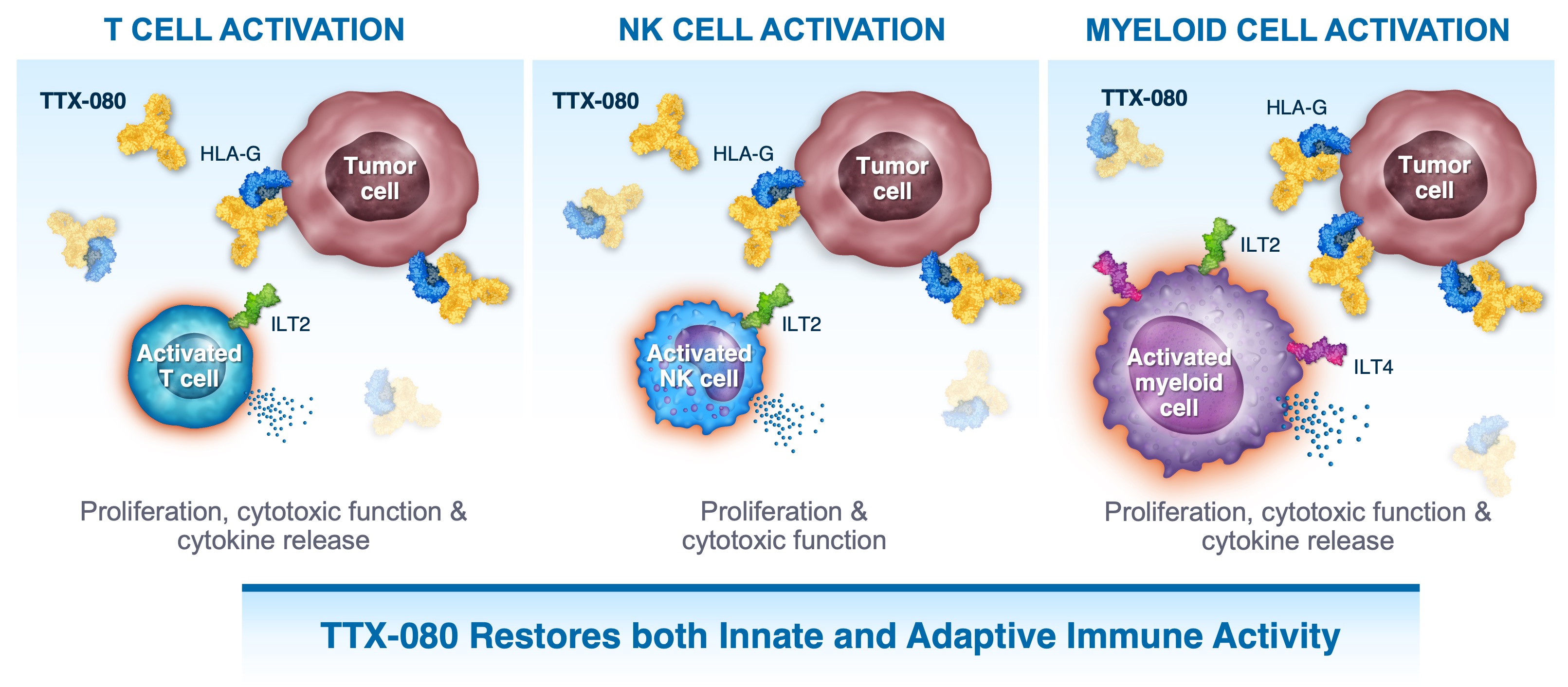 Tizona TTX-080 image
